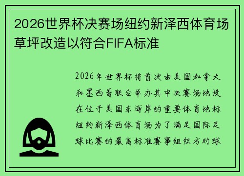2026世界杯决赛场纽约新泽西体育场草坪改造以符合FIFA标准